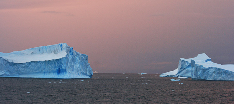 Picturesque Icebergs in Antarctica 