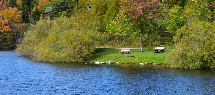 Autumn Lily Lake, Rockwood Park, Saint John, New Brunswick, Canada