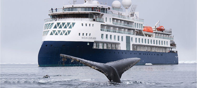 Ocean Explorer with whale tail fluke in the foreground, Antarctica
