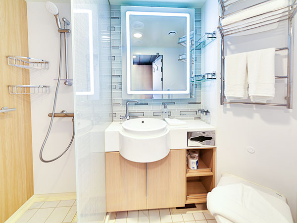 Ocean Explorer, Category BS, Royal Veranda Stateroom, Bathroom with Shower and Sink