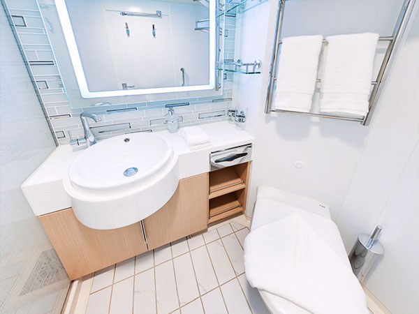 Ocean Explorer, Category TFS, Deluxe Veranda Forward Stateroom, Bathroom Sink and Toilet