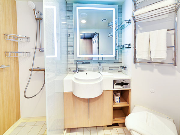Ocean Explorer, Category TFS, Deluxe Veranda Forward Stateroom, Full Bathroom with Shower