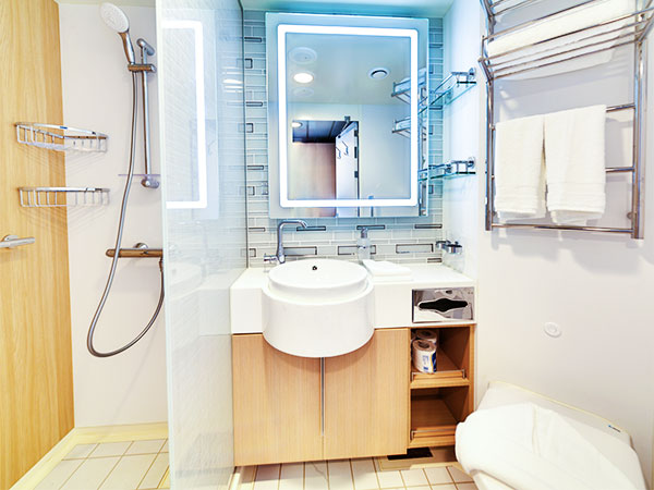 Ocean Explorer, Category TMS, Deluxe Veranda Middle Stateroom, Bathroom