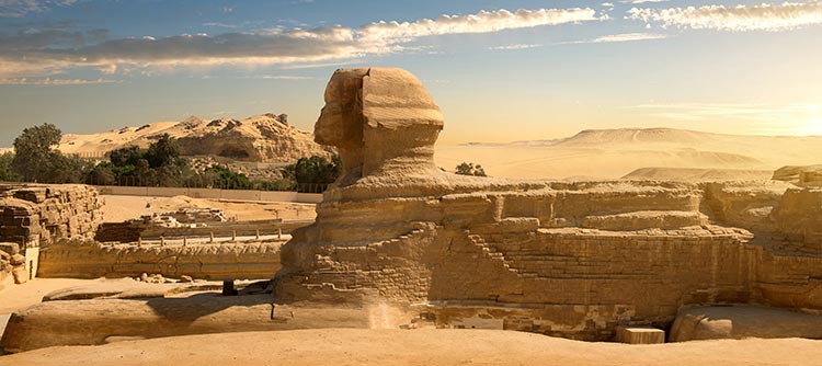 Giza's Great Sphinx at golden hour
