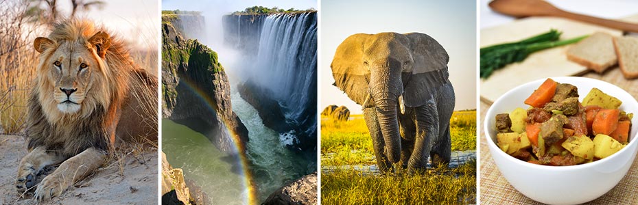 7 Things to Experience in Southern Africa's World-Famous National Parks