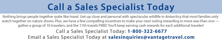 call a sales specialist today banner